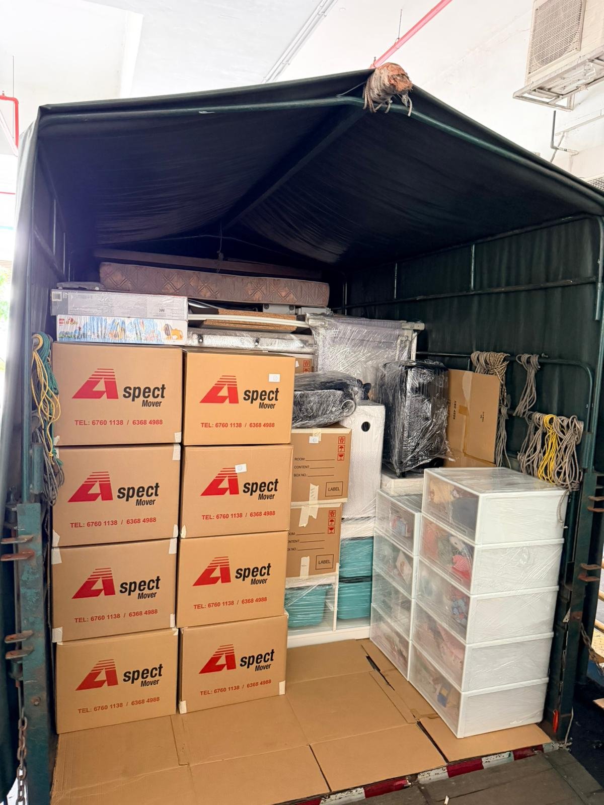 Aspect crew packing household items into cartons in Singapore